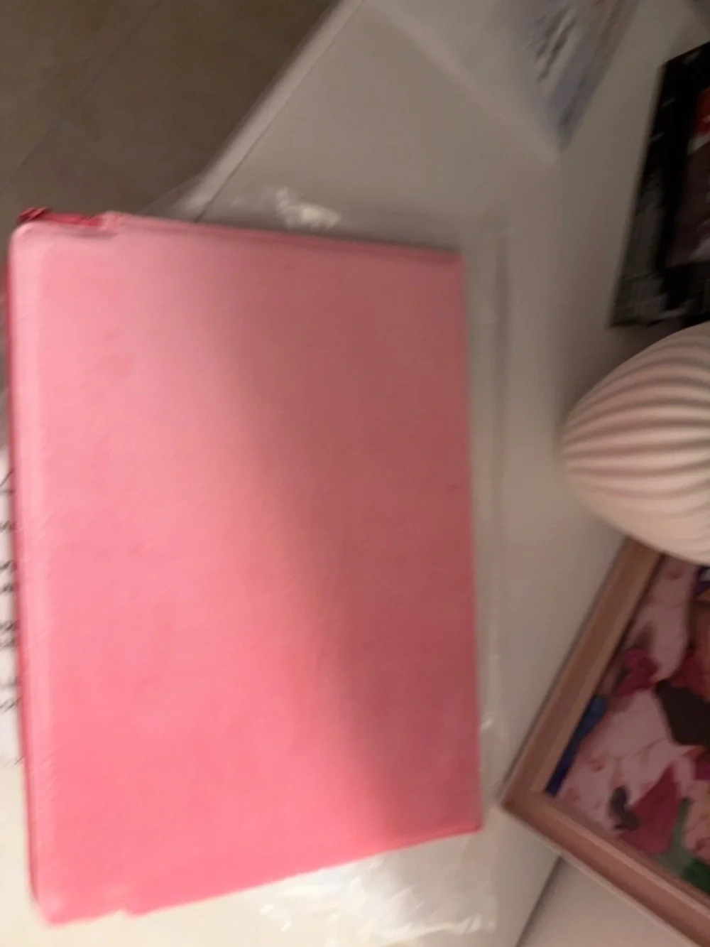 Valentino Coral Pink V Logo embossed Pouch laptop pouch